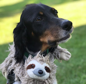 Meet your Posher, Daniel